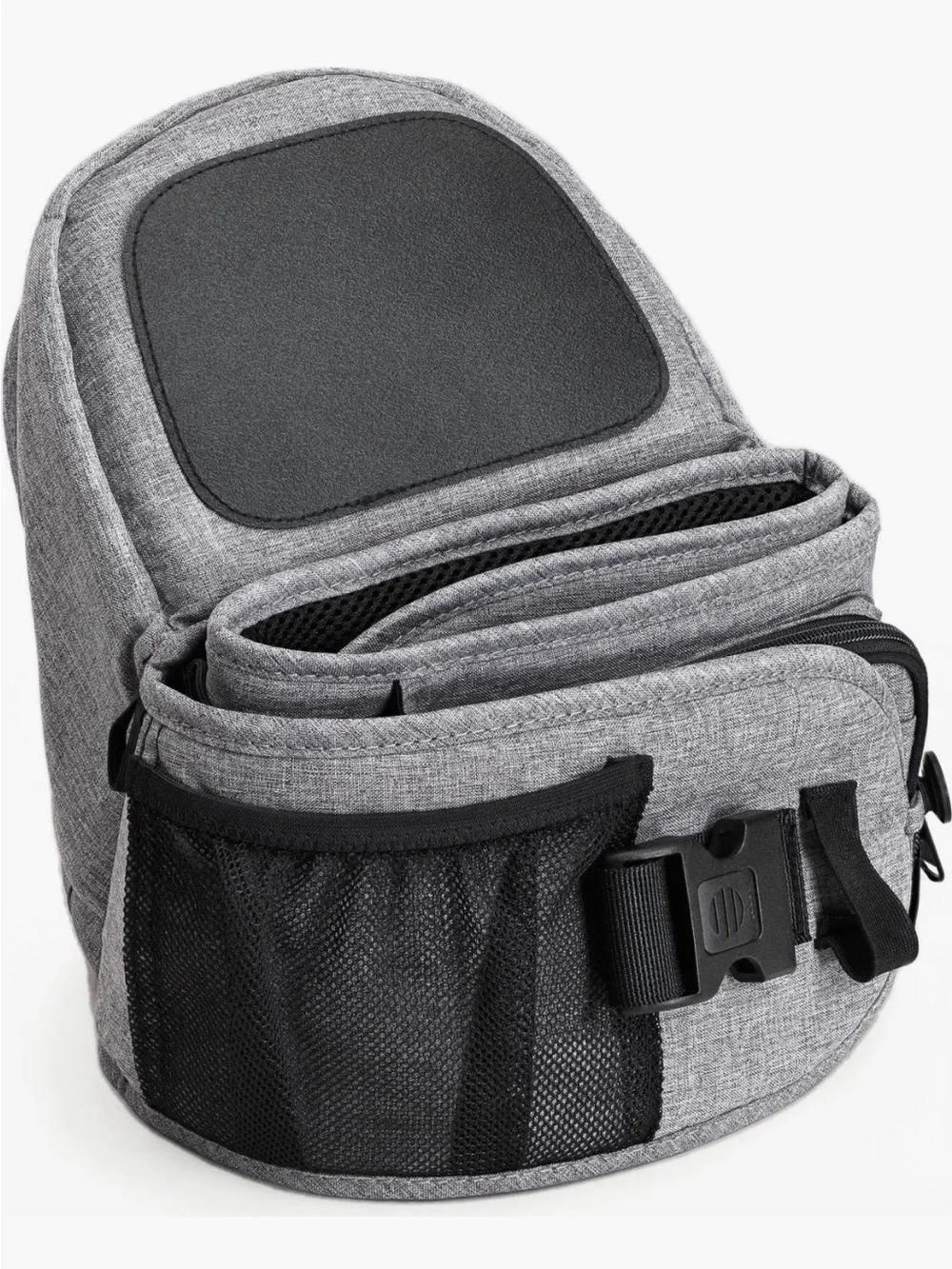 Gray Tushbaby